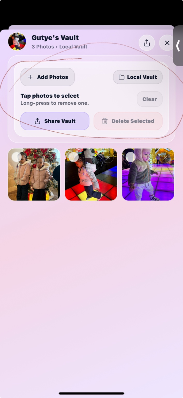 SiblingSync vault overview screen